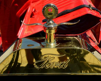 DSC_9867 (Large).JPG